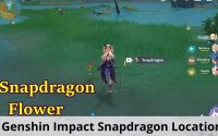 Genshin Impact Snapdragon Location, What is Genshin Impact Snapdragon?
