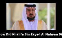 How Did Khalifa Bin Zayed Al Nahyan Die, Khalifa Bin Zayed Al Nahyan Death